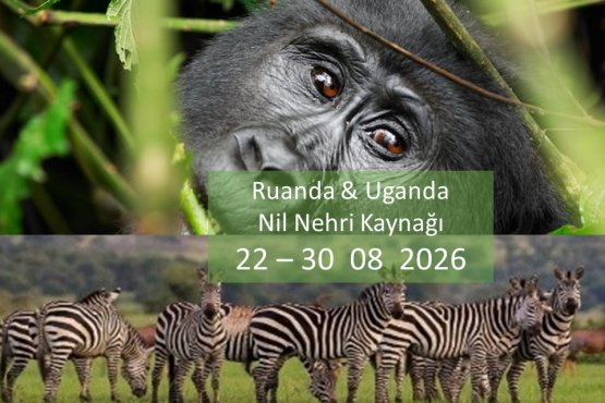 Tur Safari Ruanda & Uganda Gorillas II & Nile