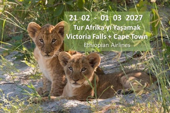 Tur Afrikayı Yaşamak-I  Victoria Falls Capetown ET