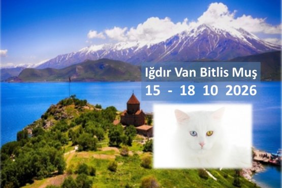 Tur Iğdır Van Bitlis Muş  III