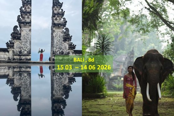 Tur Bali herdaim
