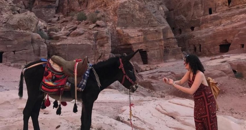 Tour Jordan  IV  Petra
