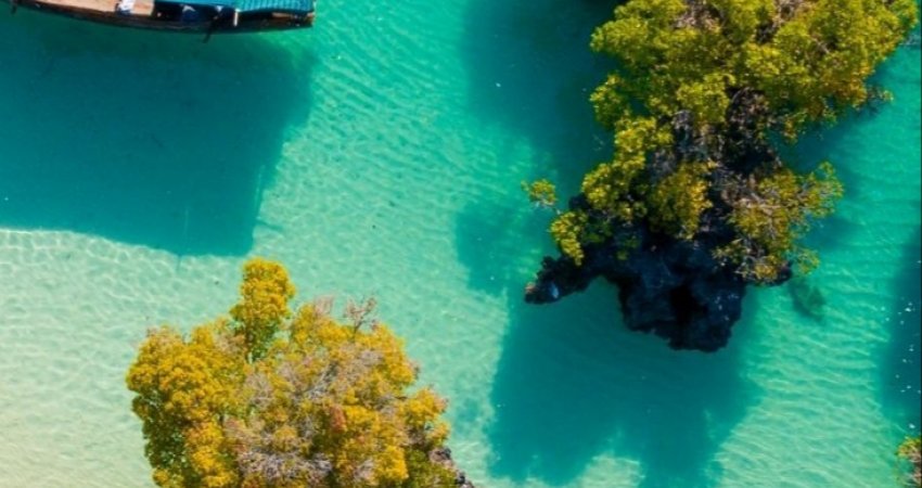 Tur Tanzanya Safari + Zanzibarda Yeni Yıl