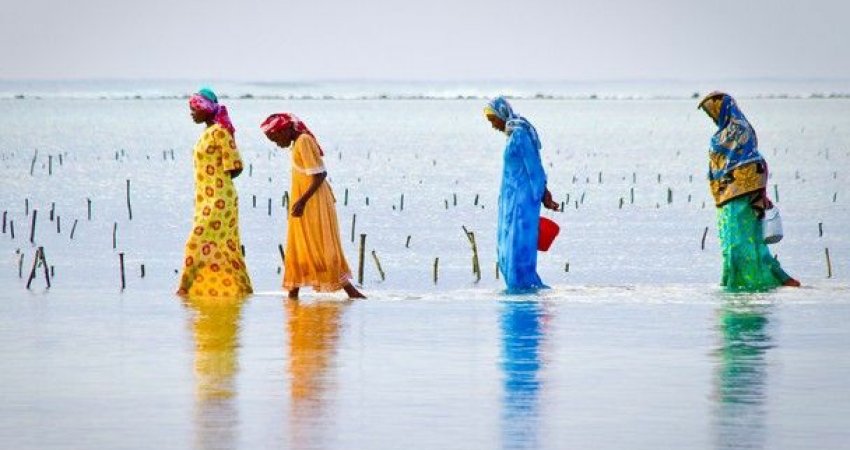 Tur Tanzanya Safari + Zanzibarda Yeni Yıl