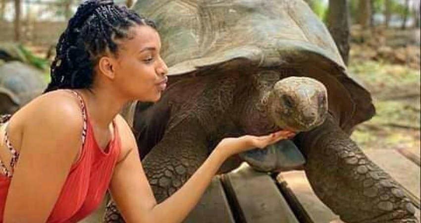 Tur Tanzanya Safari + Zanzibarda Yeni Yıl