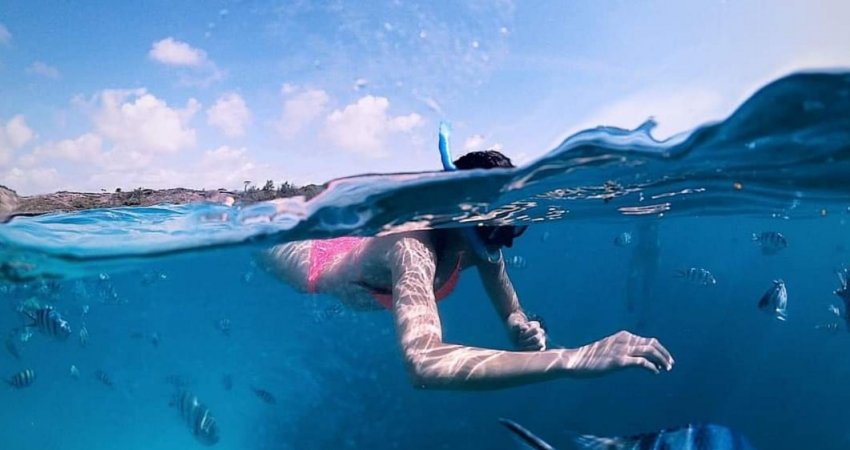 Tur Tanzanya Safari + Zanzibarda Yeni Yıl