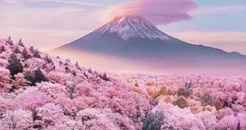 Tur Japonya ve Kore  Sakura