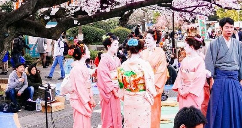 Tur Japonya ve Kore  Sakura
