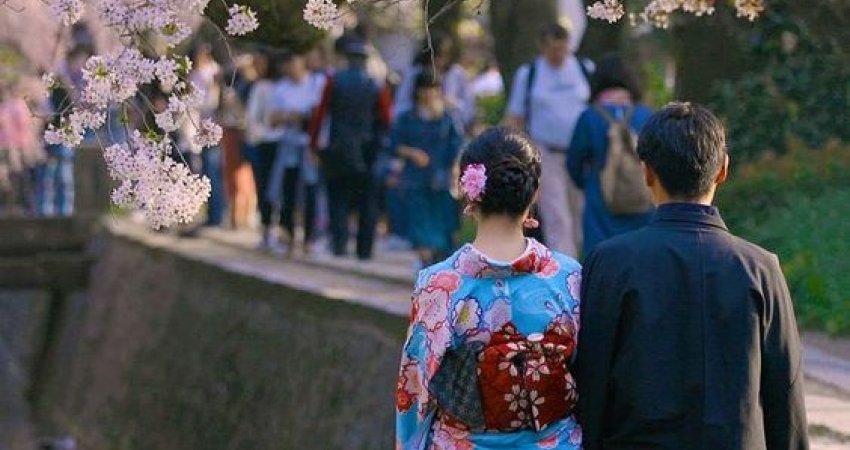 Tur Japonya ve Kore  Sakura